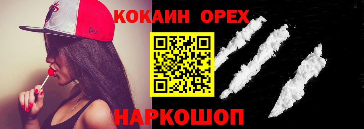 Cocaine Fish Scale  Вход с VPN  Элиста 