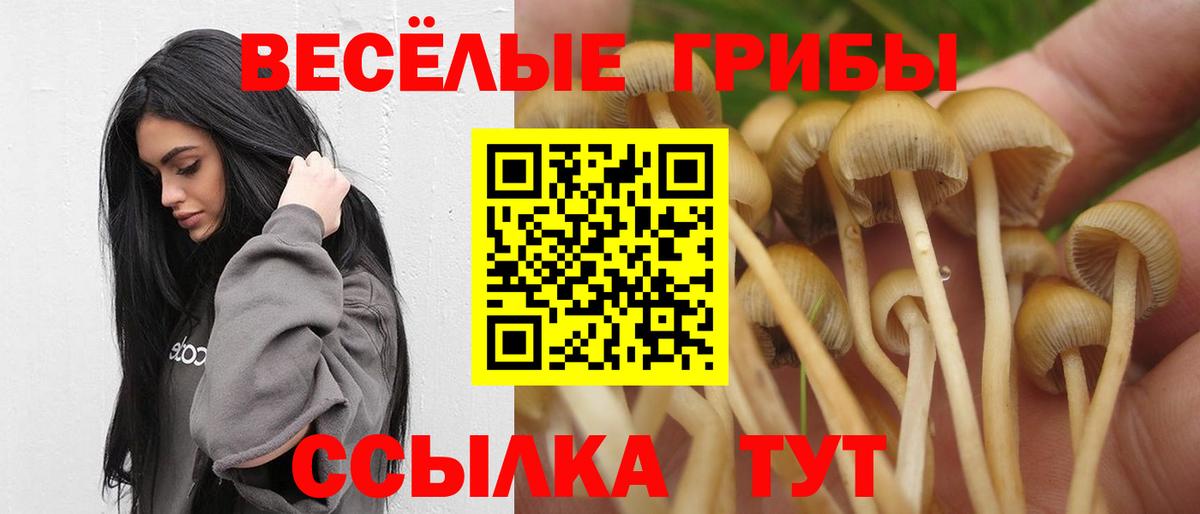 Элиста  Галлюциногенные грибы GOLDEN TEACHER  Вход с VPN 