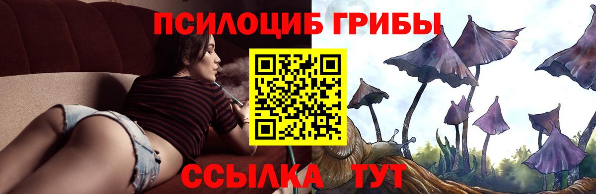 Псилоцибиновые грибы прущие грибы Элиста