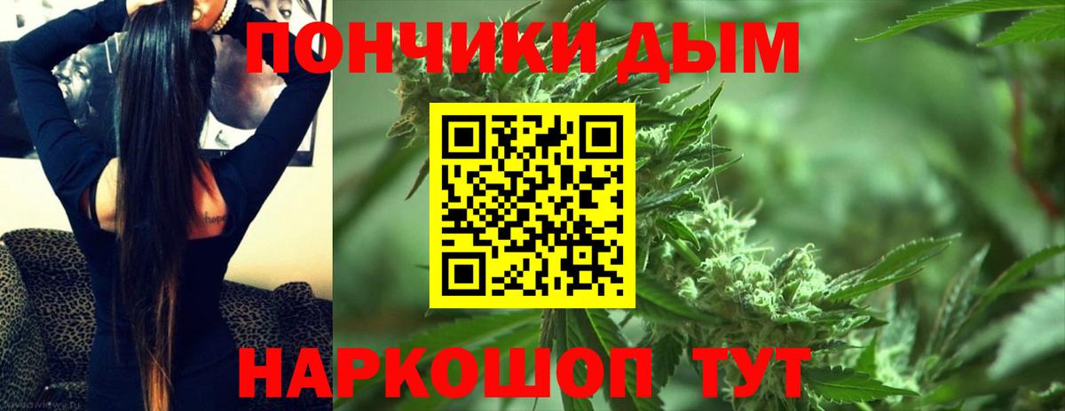 Конопля SATIVA & INDICA Элиста